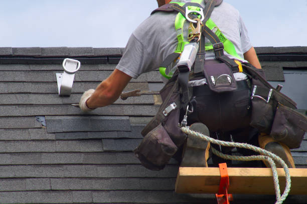 Best Roof Gutter Cleaning  in Hornell, NY
