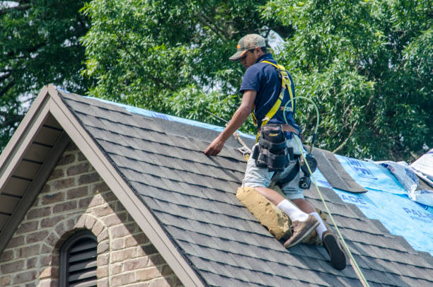 Best Commercial Roofing Services  in Hornell, NY