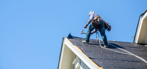 Best Roof Maintenance Services  in Hornell, NY